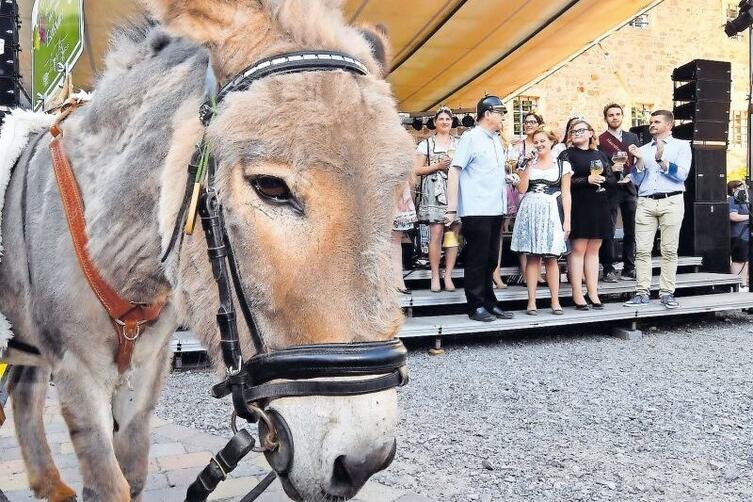 Hilfestellung Kommt Neustadt Die Rheinpfalz 