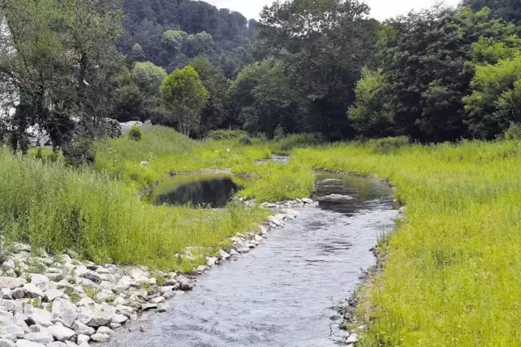 Beginnend an der Brücke in der Talstraße in Frankeneck wurde das Bett des Hochspeyerbachs renaturiert. Die Verbandsgemeinde Lamb