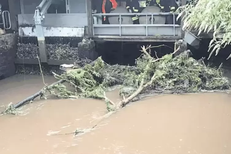 An der Falkenmühle in Bundenthal fischten das THW Hauenstein und die Wehr Bäume aus der Wieslauter, um ein Aufstauen zu verhinde