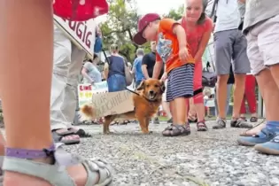 Die Hundedame Amelie trägt tapfer ein Plakat der protestierenden Queichheimer vor der Berufsbildenden Schule in Landau.