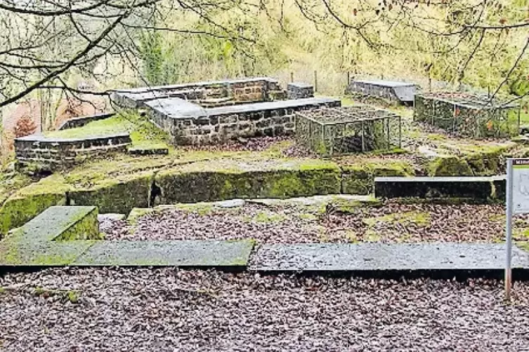 ... der Burg „Ehrwoog“ in Niederauerbach, ...