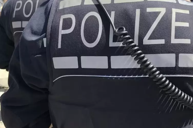 Dier Polizisten haben in Knittelsheim und Bellheim Autos gestoppt.  Archivfoto: Hartschuh