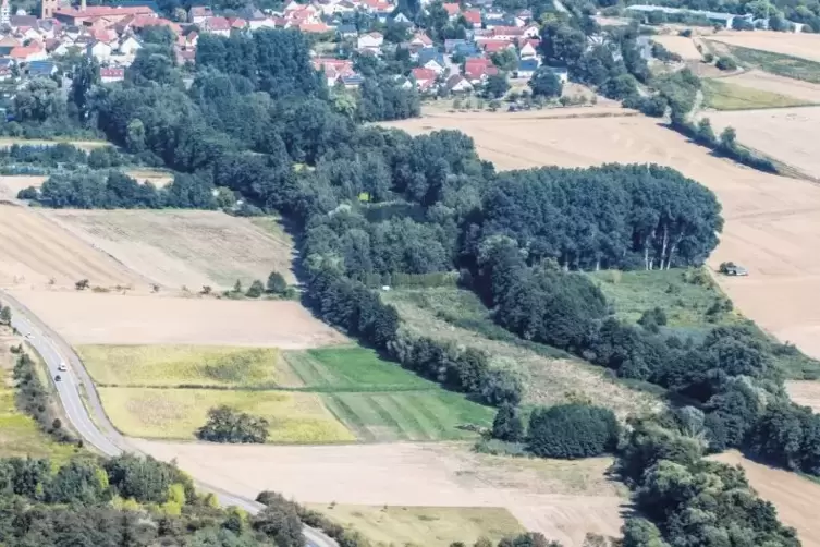 Dieser Bereich des Eisbaches (zwischen den Bäumen) zwischen Eisenberg (vorne) und Ebertsheim soll renaturiert werden.