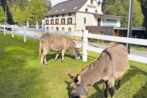 Die Betreiber der Weihermühle wollen notfalls auch vors Verwaltungsgericht ziehen.