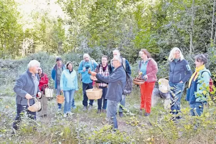 Giftig oder ungiftig, das ist hier die Frage beim Pilz-Seminar, den der Nabu Landau im Silzer Wald anbot.