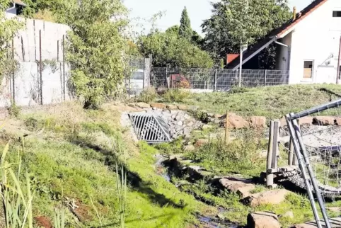 Gelungene Bachrenaturierung in Rhodt und ...