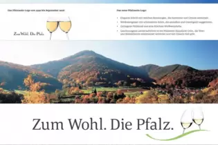 Mit diesem Logo wirbt die Pfalzwein für die guten Tropfen aus der Region. Ihre Arbeit wird durch den Zusammenschluss aufgewertet