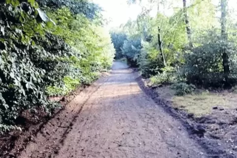 Der Förderverein hat im Sommer den Zuweg zum Aussichtspunkt Luitpoldturm auf dem Hermersbergerhof neu hergerichtet und planiert.