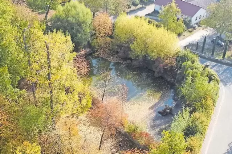 Naturschutz und Naherholung werden „wunderbar vereint“ beim Weiher in Mörzheim.