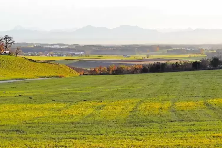 Lore von Zeppelin war von der Landschaft um Seeleiten (hier der Blick auf die Alpen) fasziniert, wie in ihren 1953 verfassten Er