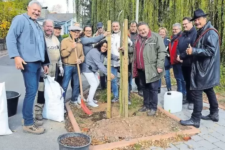 Hoffen auf weitere Verbreitung der Edelkastanie: die Dannfelser um Ortschef Ernst-Ludwig Huy (Fünfter von rechts) beim Pflanzen 