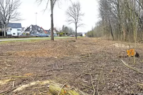 Alles weg: So sah das Gelände am Hagenbacher Ortseingang nach der Rodung aus.