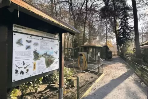 Ein Ziel des 19-Jährigen war der Schifferstadter Vogelpark. Dort hat er mit einem Mittäter allerdings nur Bier gestohlen, aber d