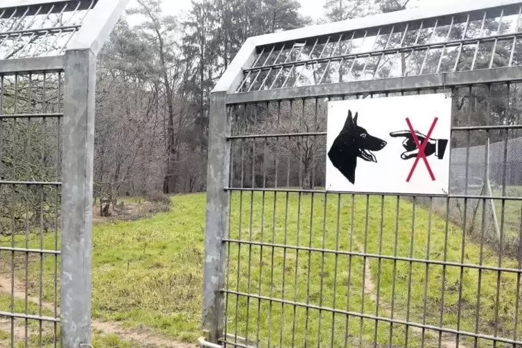 Parkleiter Michael Müller betritt das Wolfsgehege nur alle zwei bis drei Wochen. Die Tiere reagieren sehr sensibel auf Besucher.