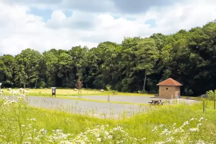 Ruhe, Abgeschiedenheit, Natur – die Camper, die den Stellplatz bei Waldgrehweiler nutzen, wissen das zu schätzen und kommen nich