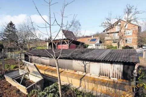 Im Vordergrund der Bienenstand, dahinter der in offener Bauweise errichtete Schuppen. Das Gelände liegt inmitten einer Vielzahl 