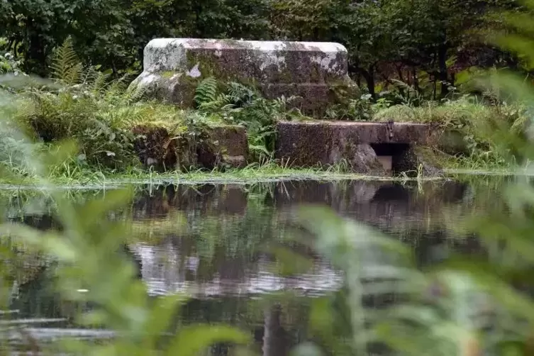 Kleiner Stausee im Wald am kleinen Legelbach im gleichnamigen Tal. Archivfoto: LM