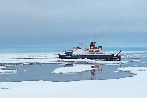 Der Eisbrecher Polarstern hat den Wein in die Antarktis gebracht.