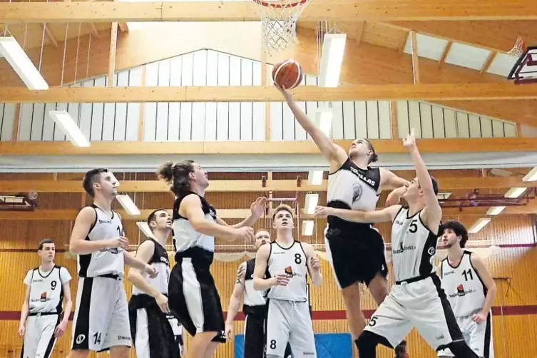 Der Haßlocher Gorilla Veit Gütermann (am Ball) sammelte neun Punkte gegen den TV Rheinzabern.