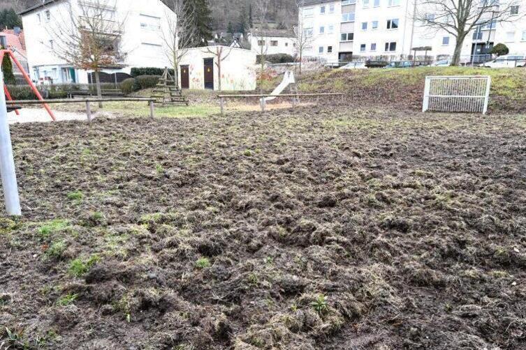 Wildschweine Dringen In Die Durkheimer Ortsteile Hardenburg Und Hausen Vor Bad Durkheim Die Rheinpfalz