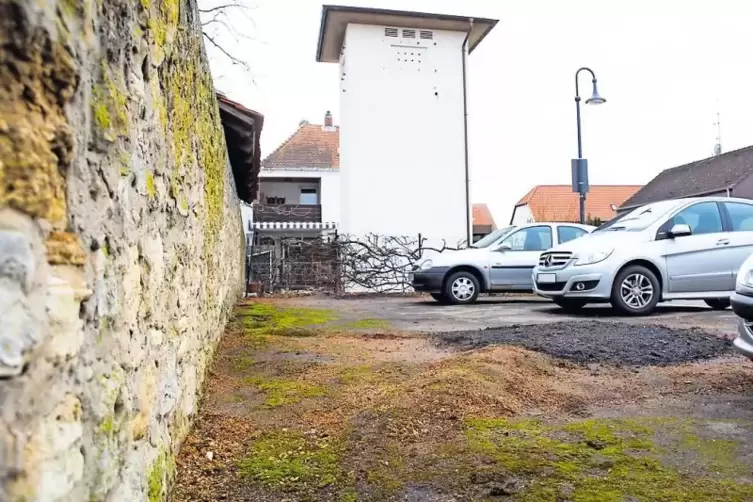 Hier stand bis Freitag eine Buche: Am hochgedrückten Asphalt kann man gut den Verlauf des Wurzelwerks erkennen.