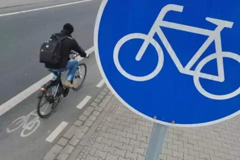 Radweg in Aussicht: In Mainz hat man den Römerberger Wunsch nach einer lückenlosen Verbindung nach Lingenfeld vernommen. Foto: D