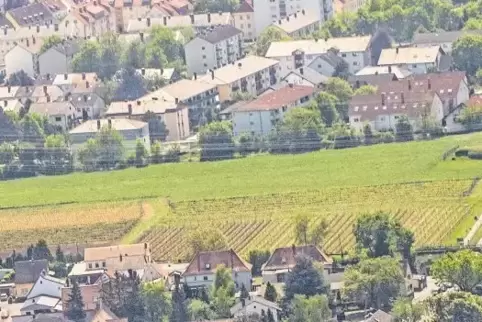 Die Nordumgehung soll einmal zwischen Asselheim und Grünstadt zur neuen B 271 führen.