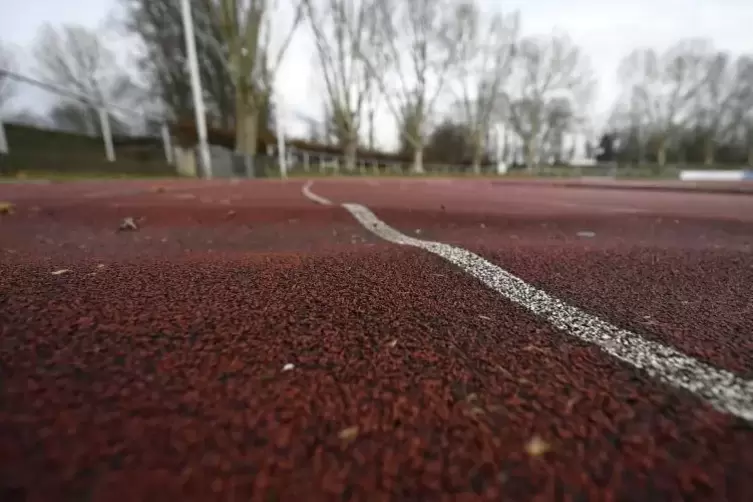 Gefährliche Berg- und Talstrecke: die Tartanbahn im Ostpark ist von Baumwurzeln angehoben worden. Foto: Bolte