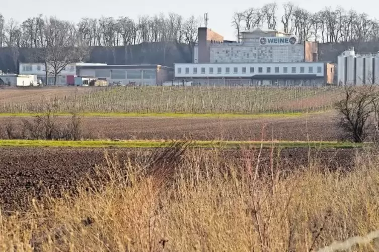 Vor diesem 60 Jahre alten in den Palmberg gebauten Genossenschaftsbetrieb soll noch in diesem Jahr eine große Lagerhalle entsteh