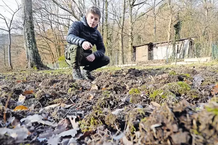 Zelten zurzeit nicht möglich: Lagerplatzwart Aaron Wilhelm zeigt auf die verwüstete Fläche.