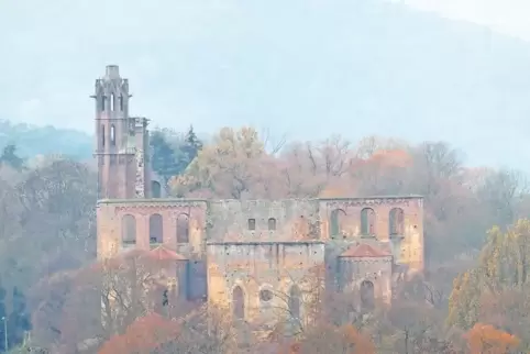 Von der Möglichkeit, in der Krypta der Limburg zu heiraten, machten 2018 79 Paare Gebrauch.