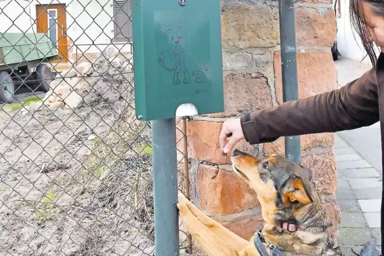 In Seebach helfen die Hundekottüten, dass die Verschmutzung der Wege um bis zu 70 Prozent zurückgeht, so Ortsvorsteher Eymael.