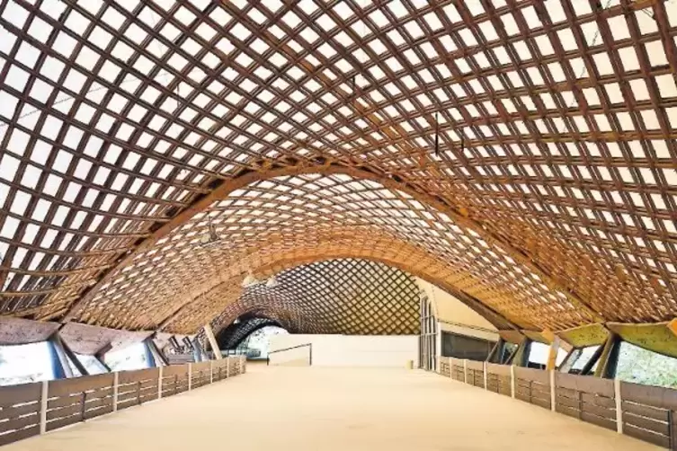 Über Jahre vernachlässigt: Die Multihalle im Herzogenriedpark in Mannheim.