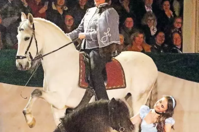 Tatjana Früh mit ihren Barockpferden zeigte schwere Dressurlektionen, hier mit Cinderella (Chiara Marqués Berger).