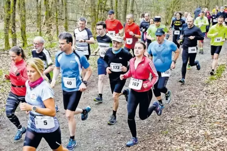 Ab durch den Wald: Dass die Wade zwickt, vergessen die meisten, wenn sich der Weg durch die Bäume schlängelt.