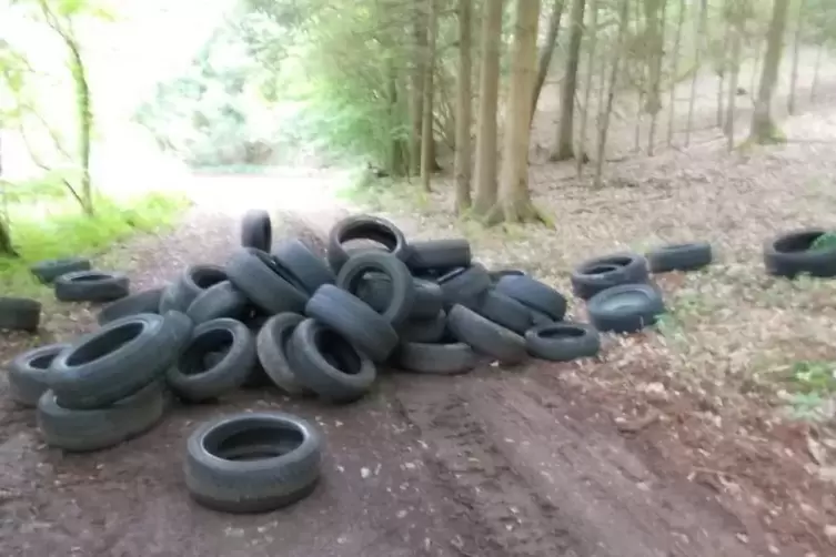 Die Reifen wurden in der Nähe des Ebersbachs entsorgt.  Foto: Polizei