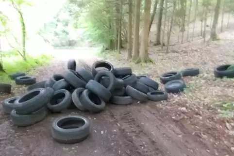 Die Reifen wurden in der Nähe des Ebersbachs entsorgt.  Foto: Polizei