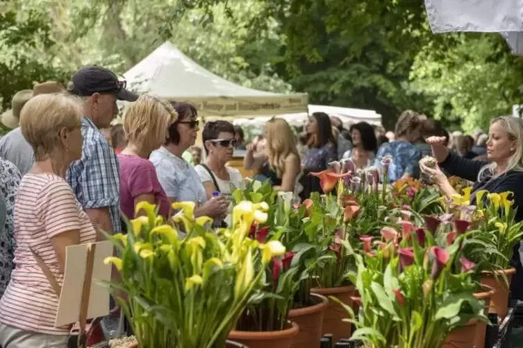 Blumen in vielen Farben und Variationen gibt es bei den Gartentagen zu sehen.  Foto: Iversen