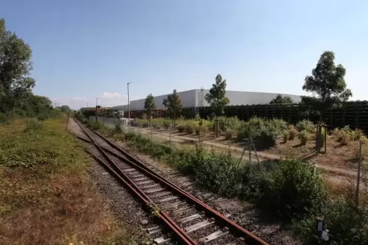 Die Bahnstrecke von Landau nach Germersheim ist stillgelegt. Rechts davon liegt das Michelin-Lager. Die Erweiterung soll links v