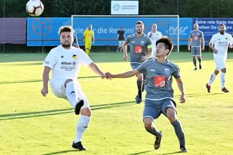 Mit neuem Sponsorenlogo und grauen Ausweichtrikots: So startet der TuS Mechtersheim in die neue Oberliga-Runde.  Foto: Lenz