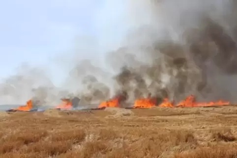 Durch ein Großaufgebot der Feuerwehren konnte das Feuer gelöscht werden, bevor es auf ein nahegelegenes Waldstück übergreifen ko