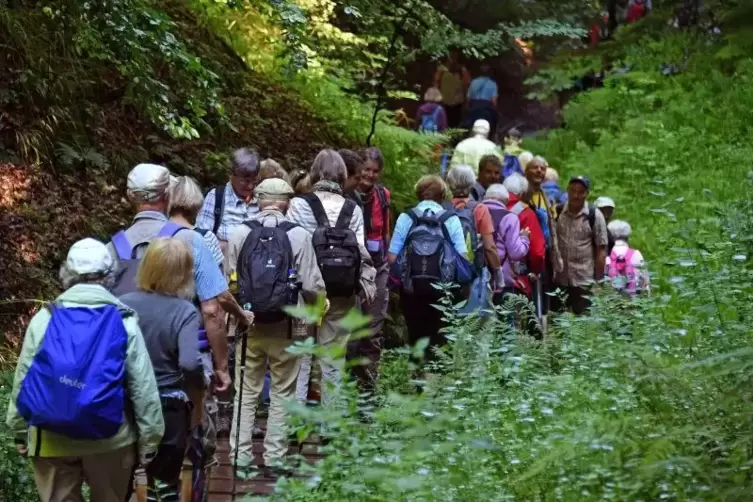 Der Deutsche Wanderverband veranstaltet jährlich jeweils an einem anderen Ort den Deutschen Wandertag, der als international grö