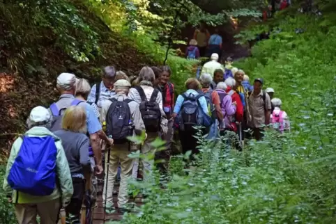 Der Deutsche Wanderverband veranstaltet jährlich jeweils an einem anderen Ort den Deutschen Wandertag, der als international grö