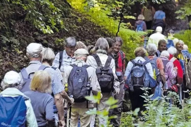 Knapp 25 000 Mitglieder gehören den Ortsgruppen des Pfälzerwald-Vereins an.