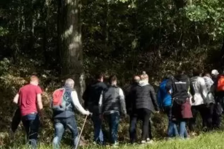 Wenn so viele Leute unterwegs sind, ist etwas Besonderes geboten: hier die Wanderung rund um den Herrmannsberg. Archivfoto: M. H