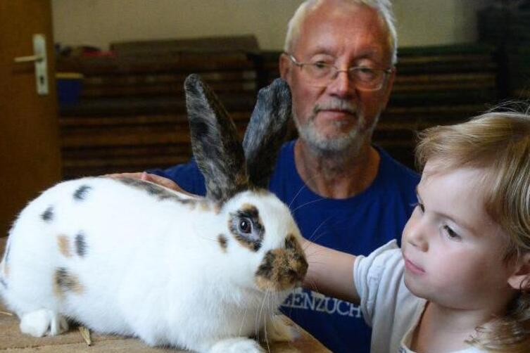 Hassloch Kreisjungtier Schau In Der Richard Kramer Kaninchen Zuchtanlage Neustadt Die Rheinpfalz