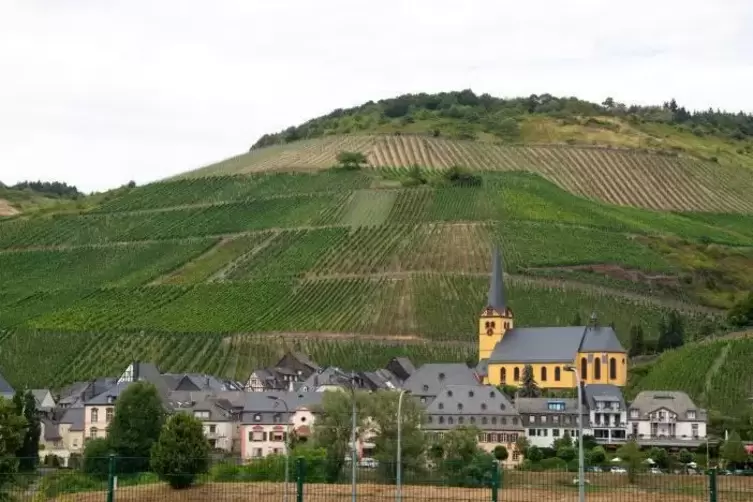 In den Hunsrückgemeinden wird Mosel- oder Rheinfränkisch gesprochen. Archivfoto: dpa