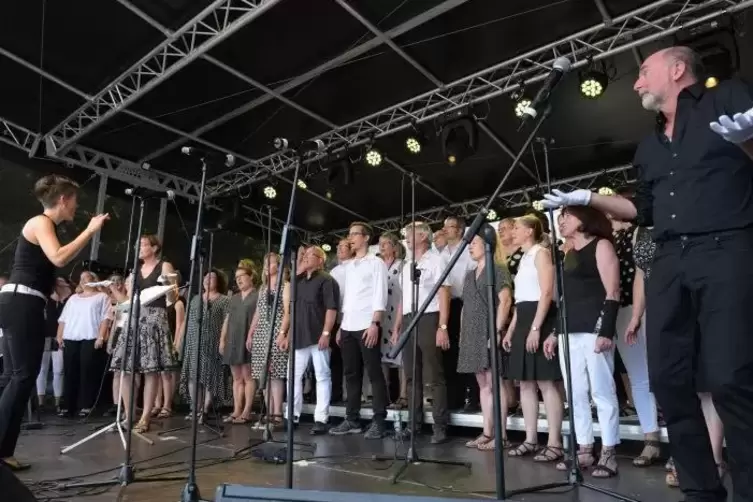 Den Grönemeyer-Song „Musik nur, wenn sie laut ist“ übersetzen die „Choriander“ sogar in Gebärdensprache.  Foto: Schulz