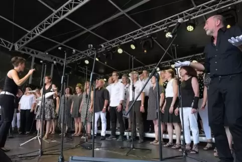 Den Grönemeyer-Song „Musik nur, wenn sie laut ist“ übersetzen die „Choriander“ sogar in Gebärdensprache.  Foto: Schulz