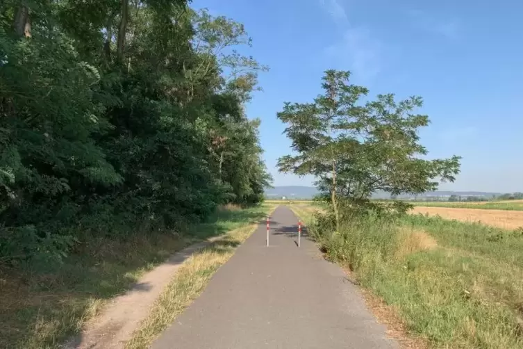 Stehen mitten auf dem Radweg und sind nicht unumstritten: die beiden Poller auf dem Weg in den Pfalzwiesen.